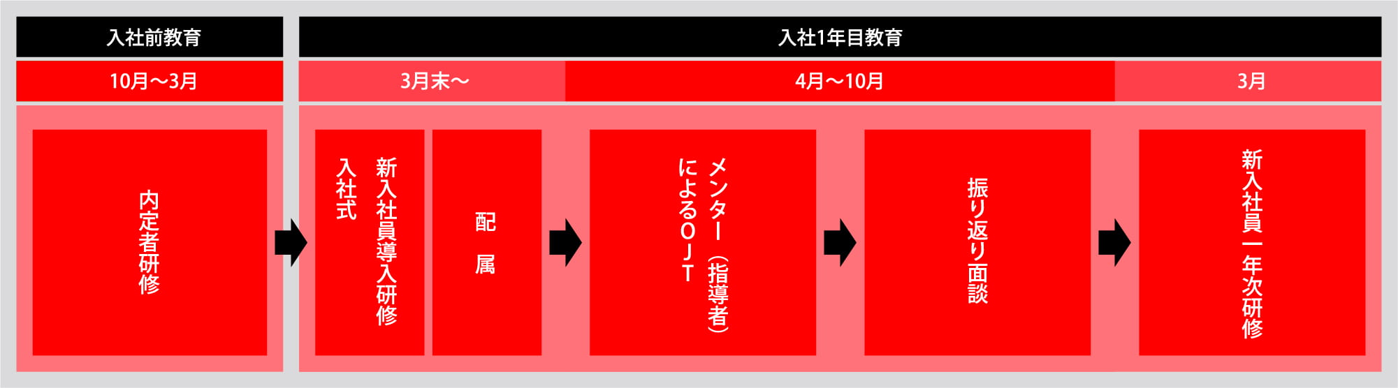 入社１年目の流れ
