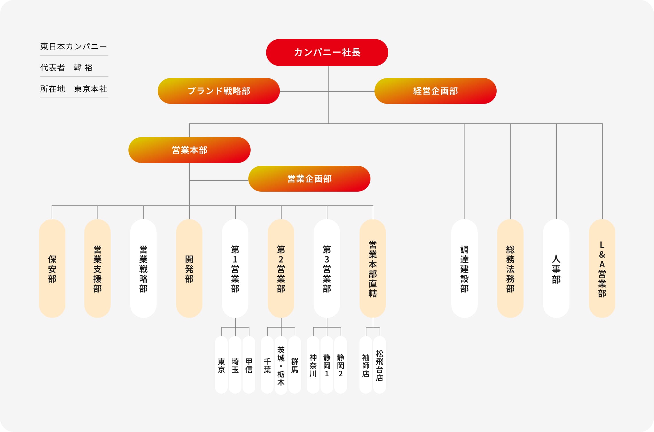 組織体制図